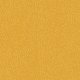 0244yellow.jpg